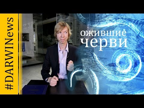 Видео: Чудесное воскрешение из вечной мерзлоты #DARWINews 9.6