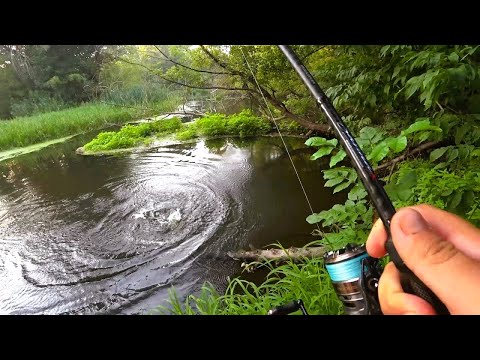 Видео: Щука Клює в Літню Спеку. Залізо Ловить. Найпростіша Приманка на Щуку