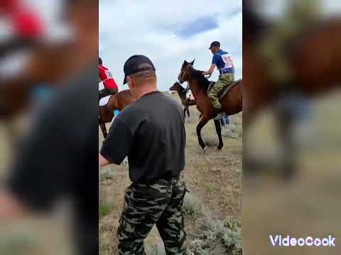 Видео: скачки Казбек цыган Аман