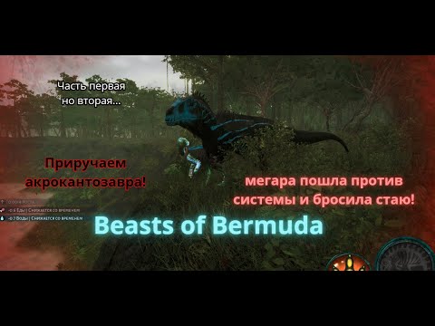 Видео: Beasts of Bermuda. МЕГАРА ПРИРУЧАЕТ АКРО!!! Часть первая но вторая...