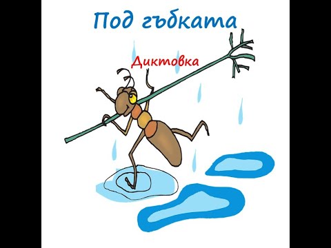 Видео: Под гъбката - Диктовка