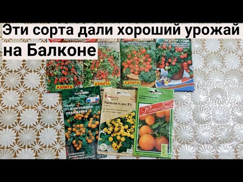 Видео: 7 сортов томатов, которые дадут хороший урожай в вашем огороде на балконе. Сладкие, сочные и вкусные