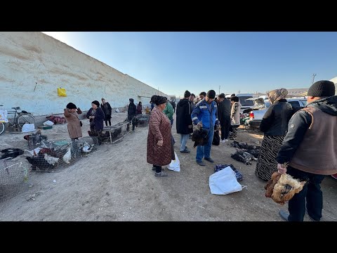 Видео: ХОРАЗМ ХАЗАРАСП ПАРРАНДА БОЗОРИ НАРХЛАРИ 11-ноябрь 2025￼