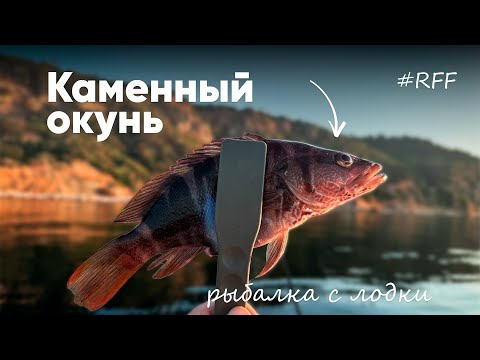 Видео: Ловлю Кукушку, Горбыля, Ласкиря. Рыбалка с лодки, #рокфишинг на черном море.