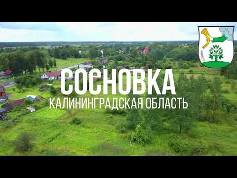Видео: 4K. Сосновка. Полесский район. Калининградская область