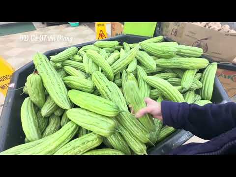 Видео: В SaiGon Suppermarket продается много свежих фруктов и овощей, горькая дыня действительно огромна...
