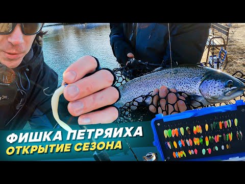 Видео: Открытие сезона. ФИШКА ПЕТРЯИХА. Рыбалка с #OnlySpin