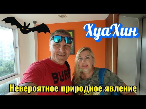 Видео: Таиланд / Наше трех дневное путешествие на машине / Волшебство ХуаХина / Магическая сила в сумерках.