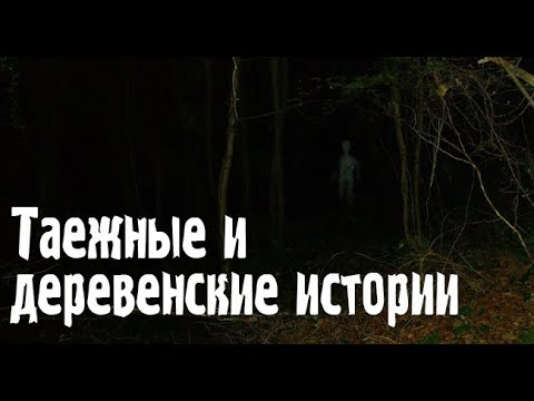 Видео: Таежные и деревенские истории. Страшные. Мистические. Творческие истории. Хоррор