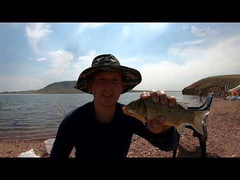 Видео: Рыбалка в Караганде в жару +35 Семизбуга