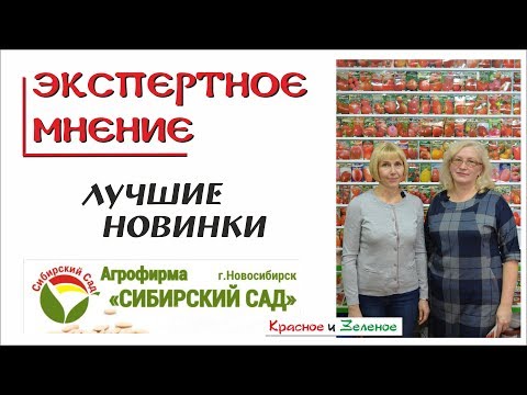 Видео: Сибирский сад. Лучшие новинки 2019 года. Томаты, перец, баклажан