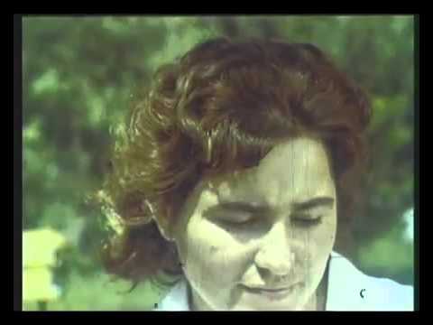 Видео: Пчеловодство, медоносные растения  СССР