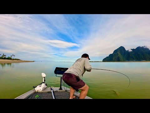 Видео: «САМОЕ БЕЗУМНОЕ ЕДОВОЕ ВЕЩЕСТВО» Плюс Самая ЯДОВИТАЯ рыба в мире