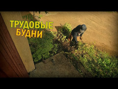 Видео: трудовые будни 06