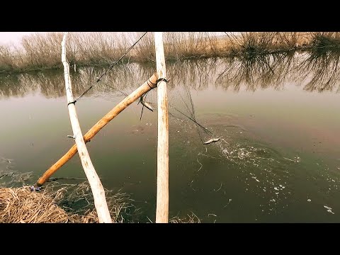 Видео: Ловля ЩУКИ КРИВДОЙ в СИБИРИ. Рыбалка на КРИВДУ, так рыбачили мои предки. Рыбалка в Сибири 2022.