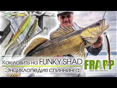 Видео: Как поймать пассивную рыбу?Универсальная уловистая приманка! ЭНЦИКЛОПЕДИЯ СПИННИНГА.FRAPP FUNKY SHAD