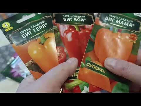 Видео: Обзор семян томатов и перцев на 26 год