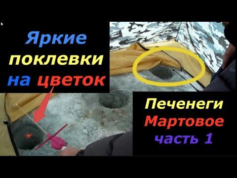 Видео: Рыбалка на Печенегах Мартовая 2021 впечатления