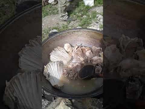 Видео: Аксы району Жерге тал айылы  Бозбу тоосунун этеги