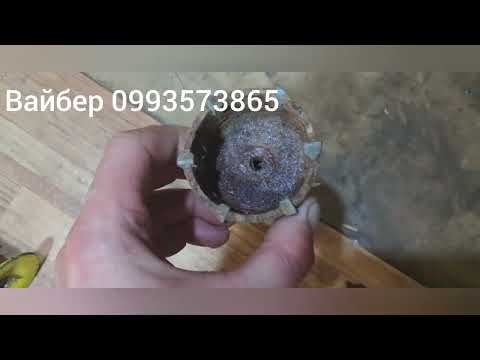 Видео: 6 сентября 2025 г.