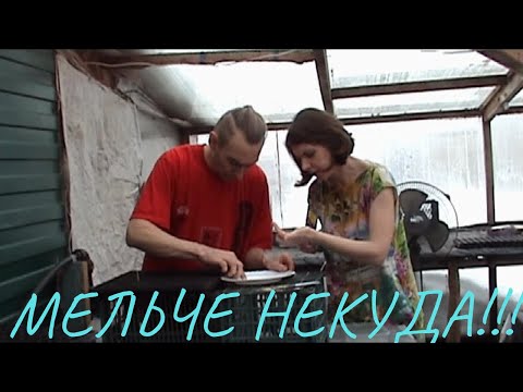 Видео: Самый удобный способ посева мелких семян!!