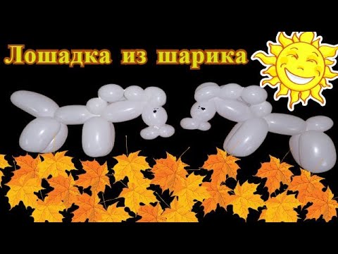 Видео: Лошадка из воздушного шарика ШДМ