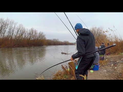 Видео: Марица през зимата - част 1