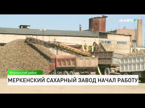 Видео: Меркенский сахарный завод начал работу
