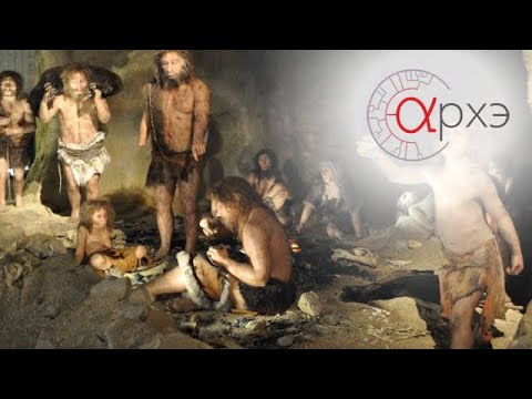 Видео: Михаил Гельфанд: "Все мы немножко неандертальцы"