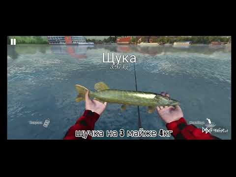 Видео: Перше відео