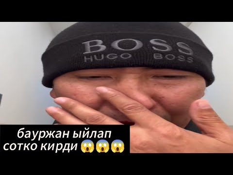 Видео: Бауржан сотко ыйлап кирди неболот