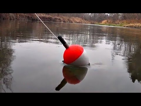 Видео: ЩУКИ НА ЖИВЦА В ОКТЯБРЕ!РЫБАЛКА НА ПОПЛАВОК 2025.РЫБАЛКА НА ЖИВЦА ОСЕНЬЮ