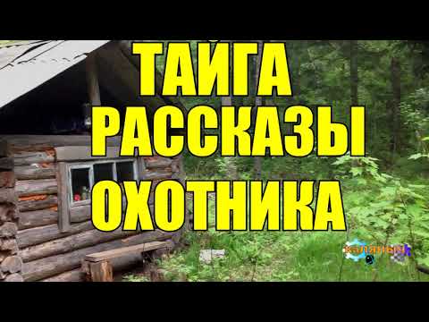 Видео: ТАЕЖНЫЕ ПРИКЛЮЧЕНИЯ | Рассказы охотника