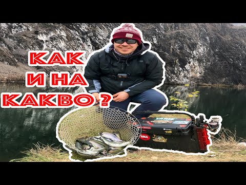 Видео: Ареа Риболов - Как и на какво да бъдем успешни!