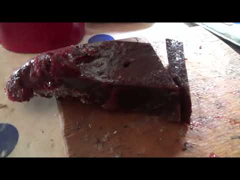 Видео: Охота на соболя 8 . Один в тайге.