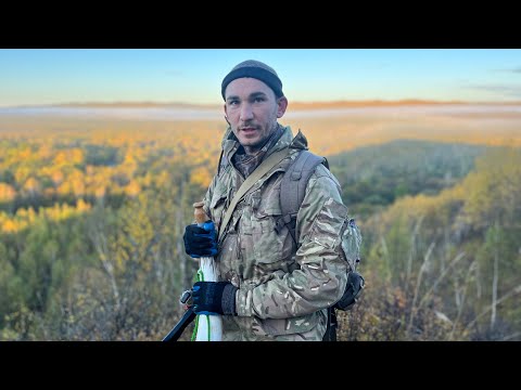 Видео: ОХОТА НА ИЗЮБРЯ НА РЕВУ | ИЗЮБРЬ ПОДОШЁЛ ВПЛОТНУЮ