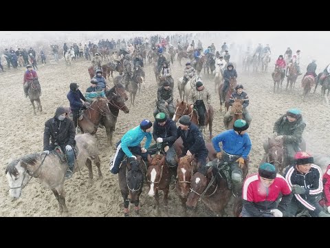 Видео: Шербаевтар әулетті Марат Самат бауырларымыздың елден бата алу көкпар тойы25 02 2024