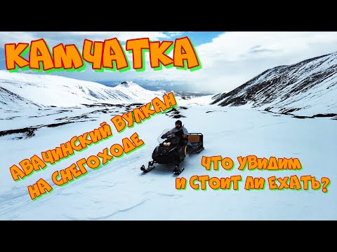 Видео: Камчатка. На Авачинский вулкан на снегоходе.Медведь рядом! Стоит ли ехать?  Посмотрите и решите.