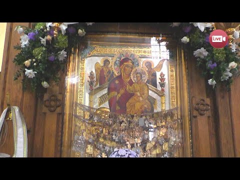 Видео: Тысячи исцеленных от рака и бесплодия! Икона "Всецарица" из Сынковичского храма празднует...