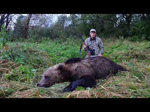 Видео: Опасная охота на медведя с подхода . Зверь вышел прямо на нас