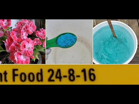 Видео: Какое удобрение вносится в горшечные цветы.