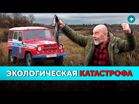 Видео: Беларусы бьют тревогу! Такого ещё не было. Массовый мор рыбы — что скрывает ГРЭС? // Новости