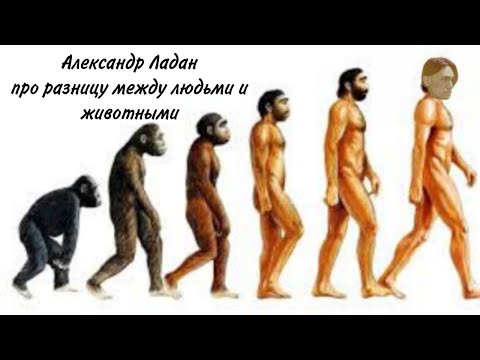 Видео: Александр Ладан ГЛОБАЛЬНО про отличие людей от животных