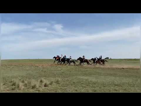 Видео: Аппаз ауылы 2022 жыл Аламан Бәйге