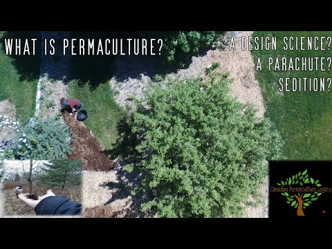 Видео: Что такое пермакультура?