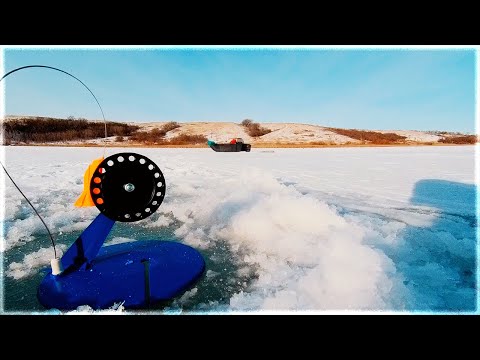 Видео: ПОПАЛ НА РАЗДАЧУ ЩУКИ!! Я В ШОКЕ!! ВОТ ЭТО РЫБАЛКА!! ЛЮБОПЫТНАЯ ЛИСА | ЗИМНЯЯ РЫБАЛКА НА ЩУКУ 2023