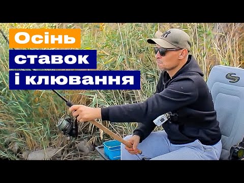 Видео: 🎣 РИБОЛОВЛЯ НА СТАВКУ З АЛЕКСОМ ХРЄНОВИМ: гармонія з природою та шалені клювання!