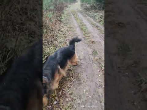 Видео: Опять тепло