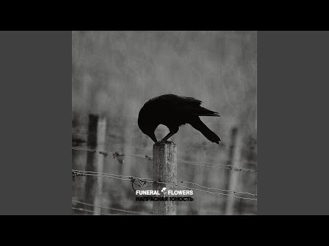 Видео: Напрасная юность