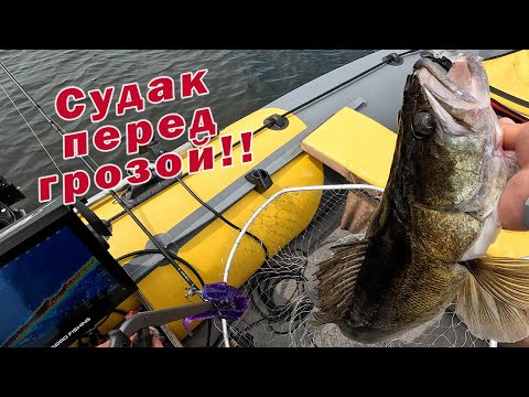 Видео: Я ДАЖЕ НЕ УСПЕВАЛ ДОТЯНУТЬСЯ ДО КАМЕРЫ!!! ОТЛИЧНАЯ РЫБАЛКА ПЕРЕД ГРОЗОЙ!